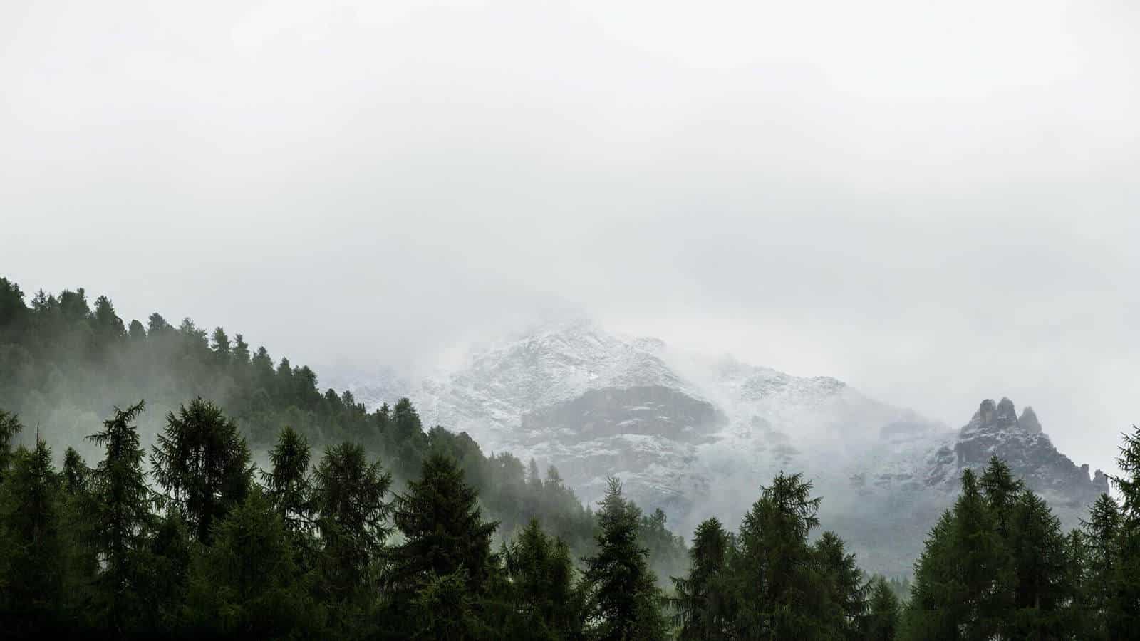 Blog Hero Boxed 3 Column